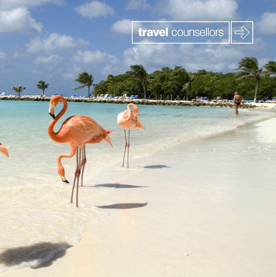 LUXURY TRAVEL